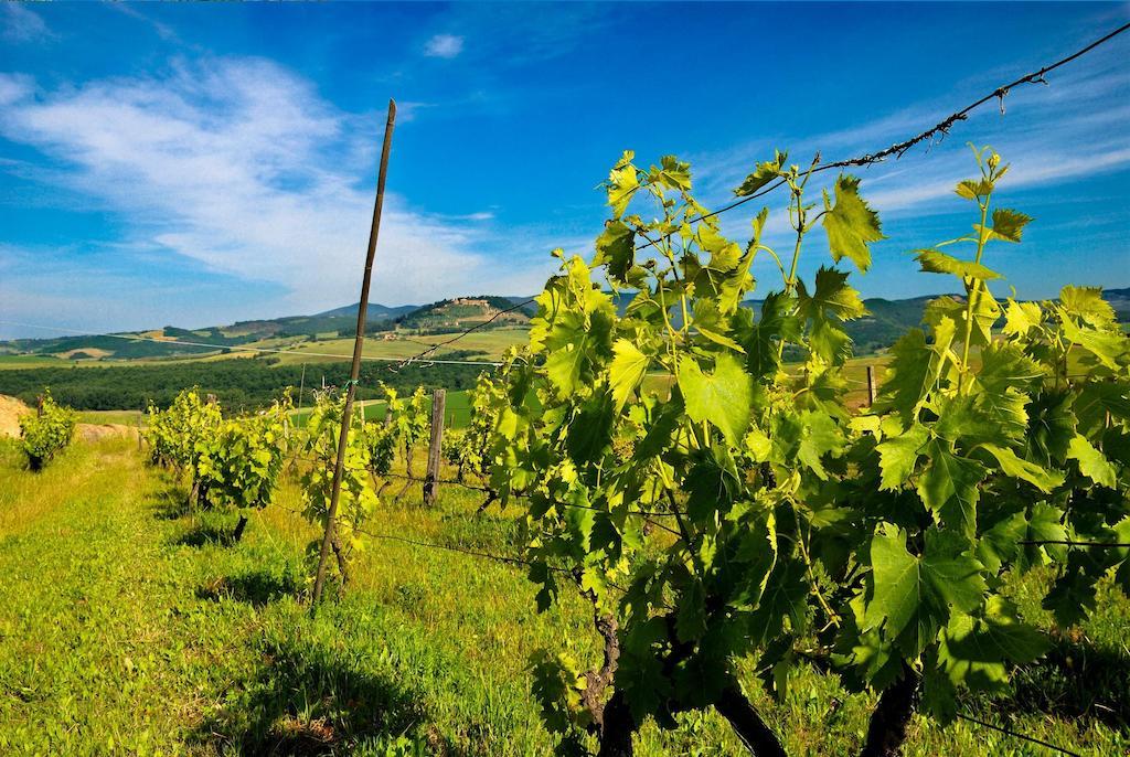 Agriturismo Il Canterino *